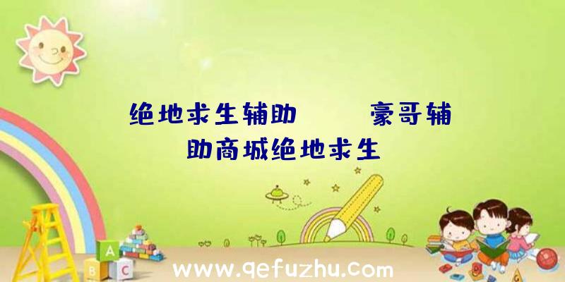 「绝地求生辅助apk」|豪哥辅助商城绝地求生